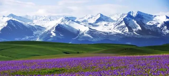 新疆,地理、历史、文化与现状概览